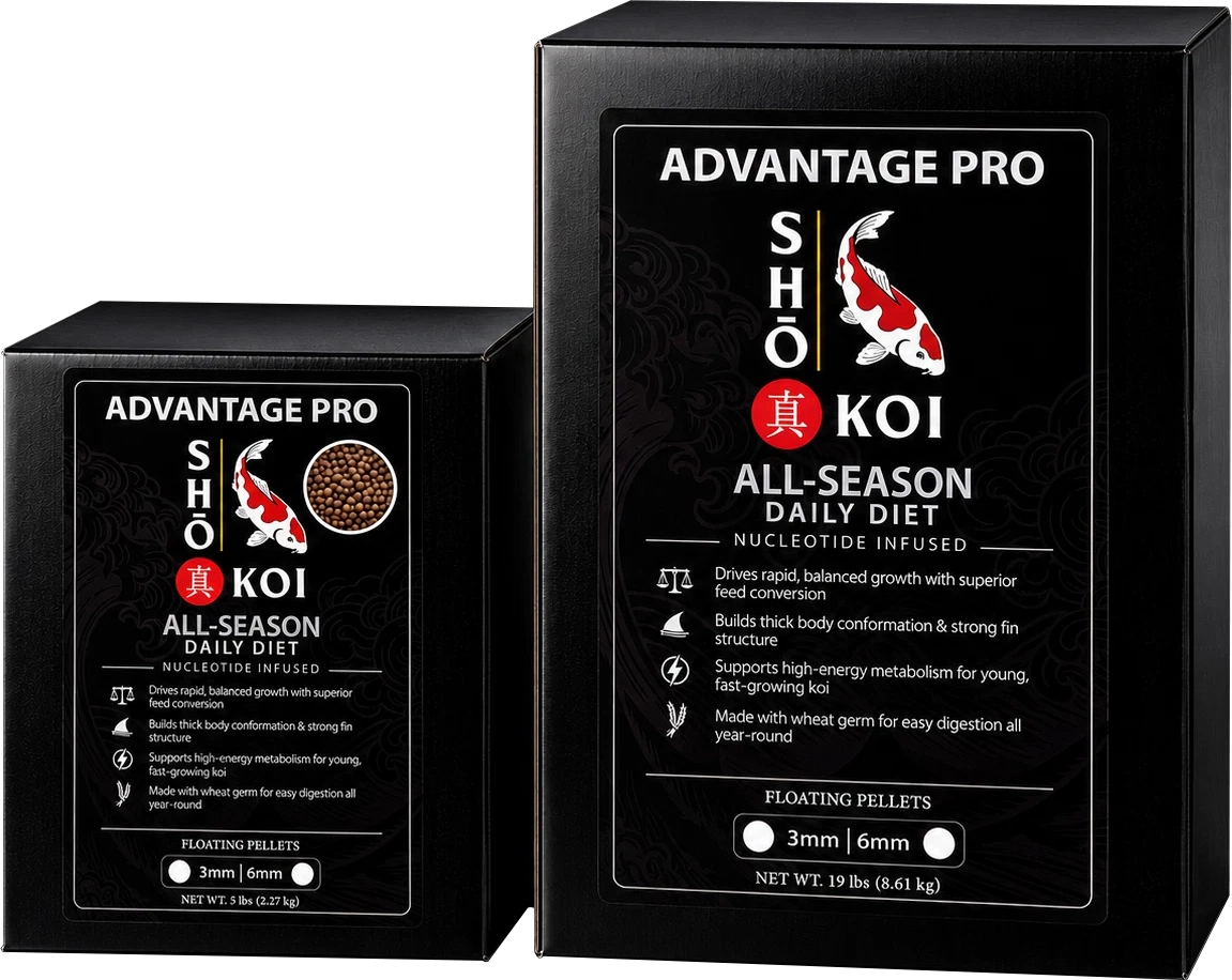 Sho Koi Advantage Pro Growth Formula Fish Food
