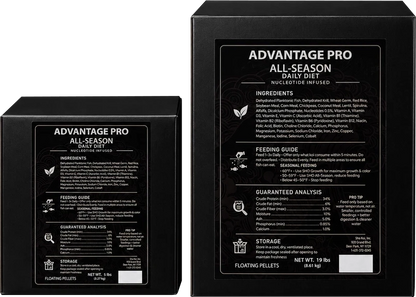 Sho Koi Advantage Pro All Season Daily Fish Food