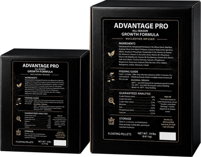 Sho Koi Advantage Pro Growth Formula Fish Food